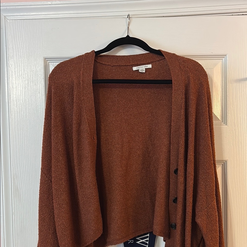 American Eagle Outfitters Brown Cardigan Sweater